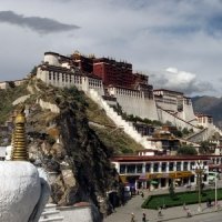 Історія розвитку тибетської медицини